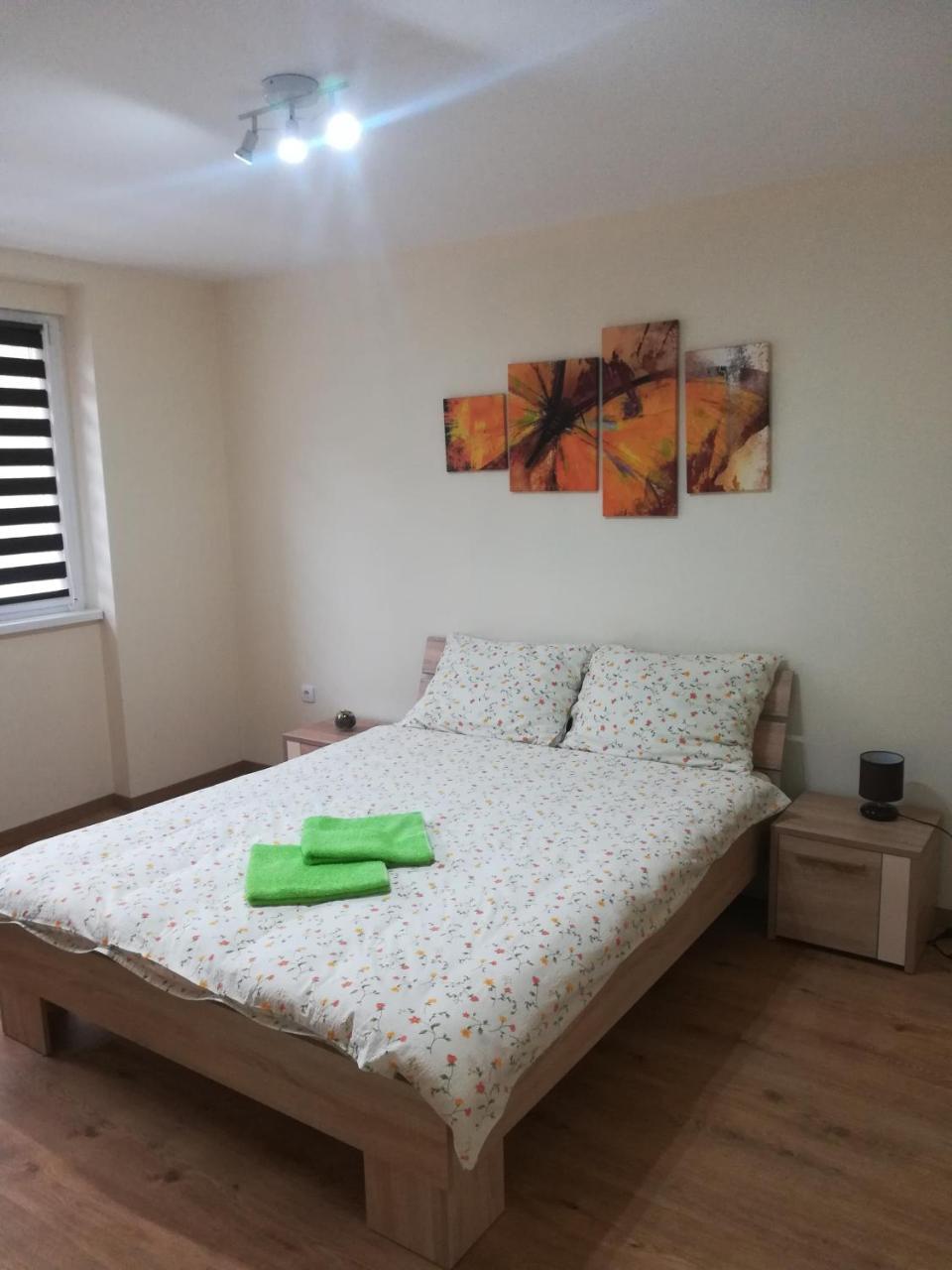 Apartment Marija Σρέμσκα Μιτρόβιτσα Εξωτερικό φωτογραφία